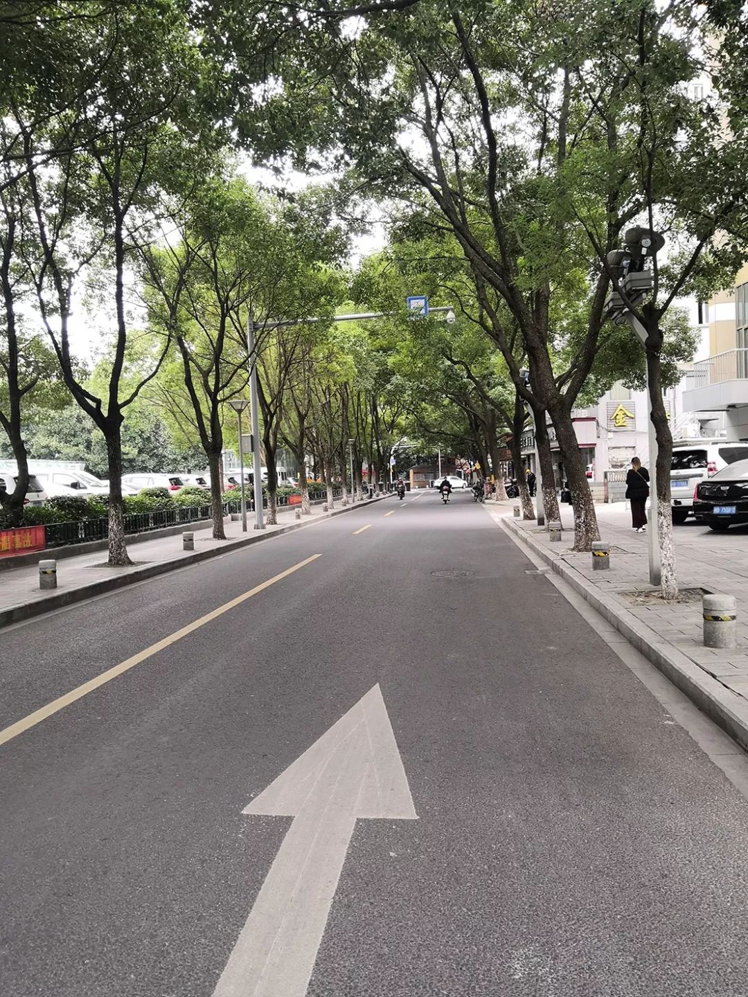 宁波又一条南塘老街,宁波南塘老街必吃的10个餐厅