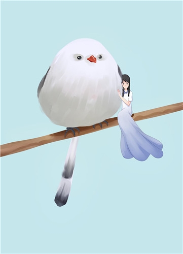 谈一场姐弟恋究竟会不会幸福,姐弟恋谈不下去