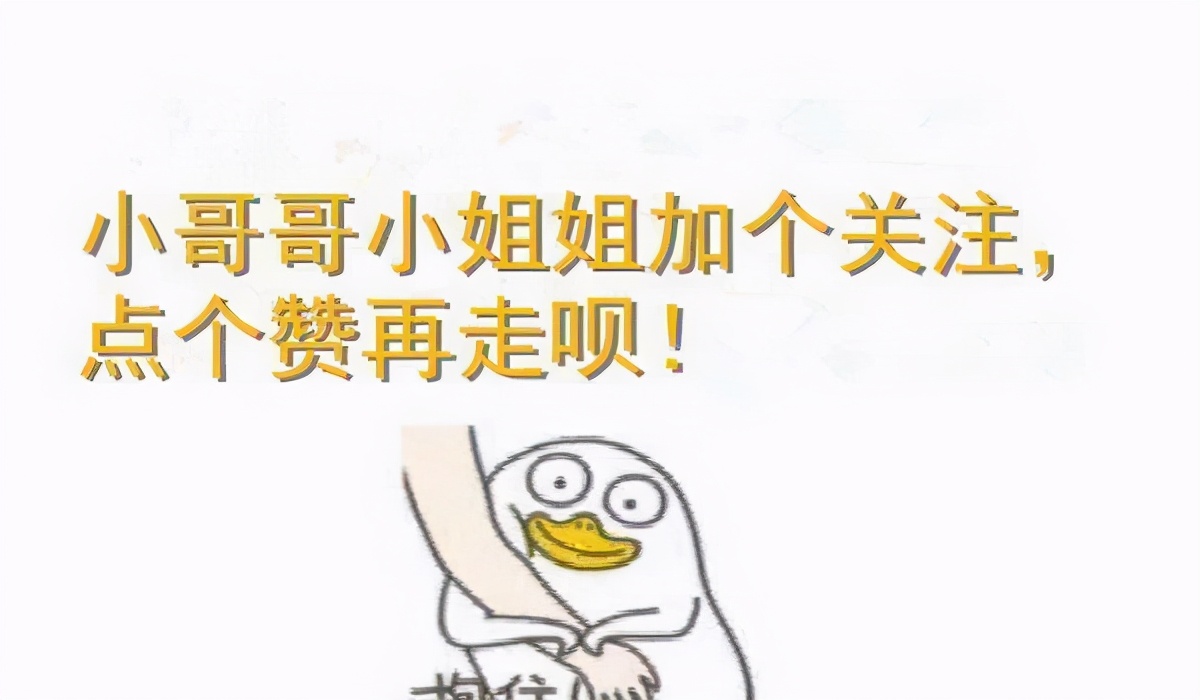 有哪些品种的猫咪性格特别黏人,猫界最粘人英短蓝白