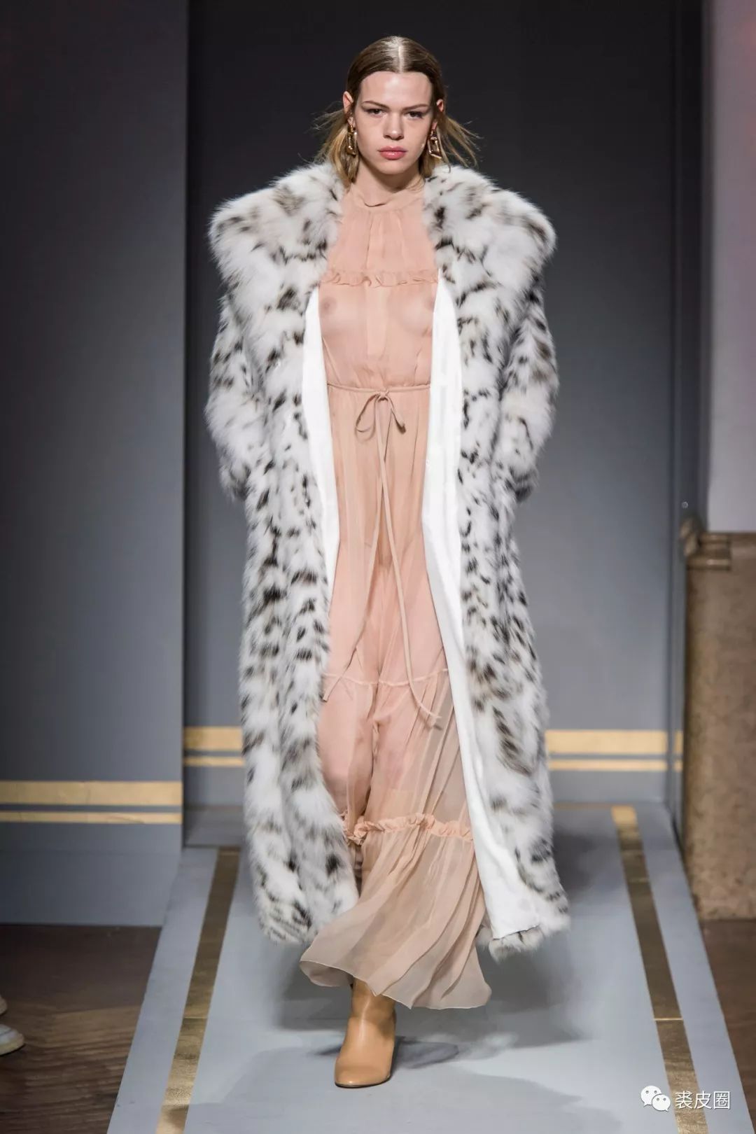 当今最昂贵的皮草是什么,顶级皮草有哪些种类