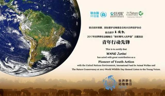 王俊凯愿你被这个世界温柔以待,王俊凯愿新年所许如期而至