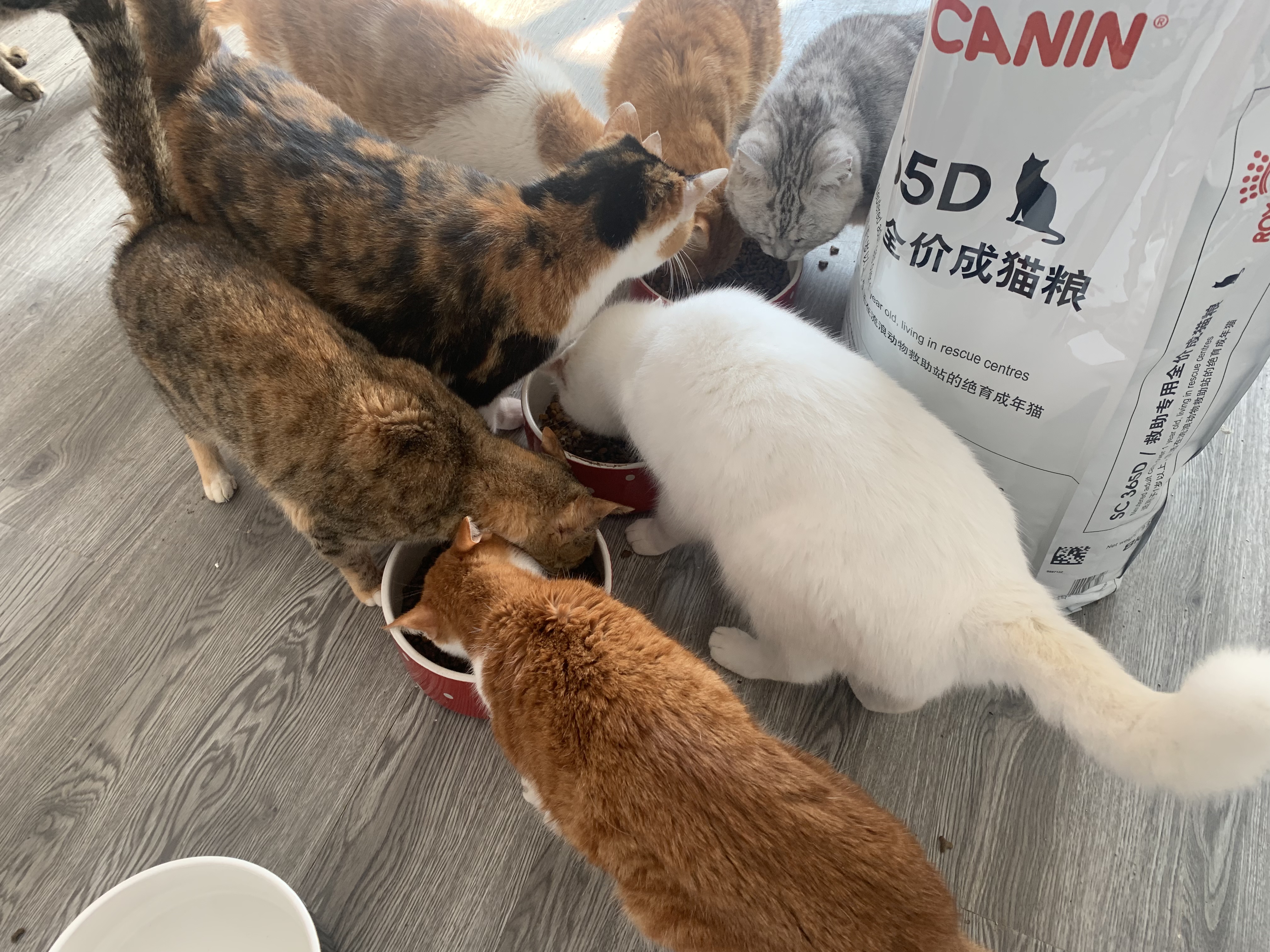 鐢ㄥ績鍔╁姏鐤儏闃叉帶,鐢ㄥ績鎴樼柅浠ョ埍鎶よ埅