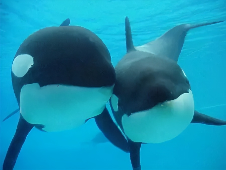 互联网上，成千上万女生用玄学“求姨妈准时来”