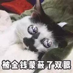 2020火爆全网的这些口红你有几支,口红鬼打墙