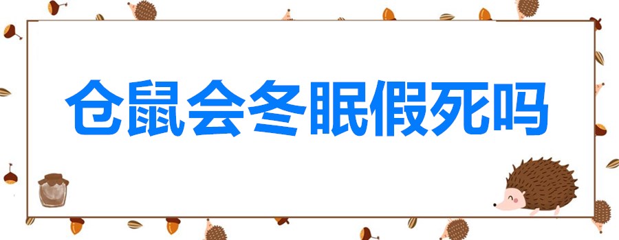 仓鼠会冬眠的照片,仓鼠会冬眠吗冬眠了怎么办
