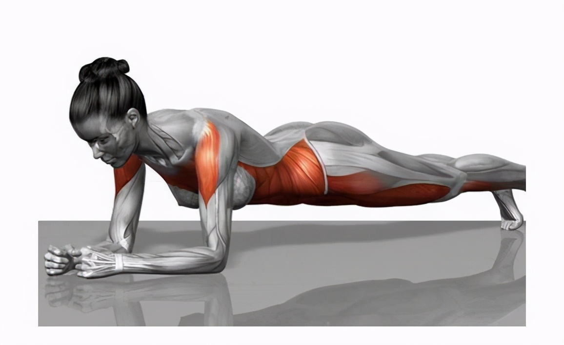 为什么有些人练习平板支撑之后反而会腰痛?