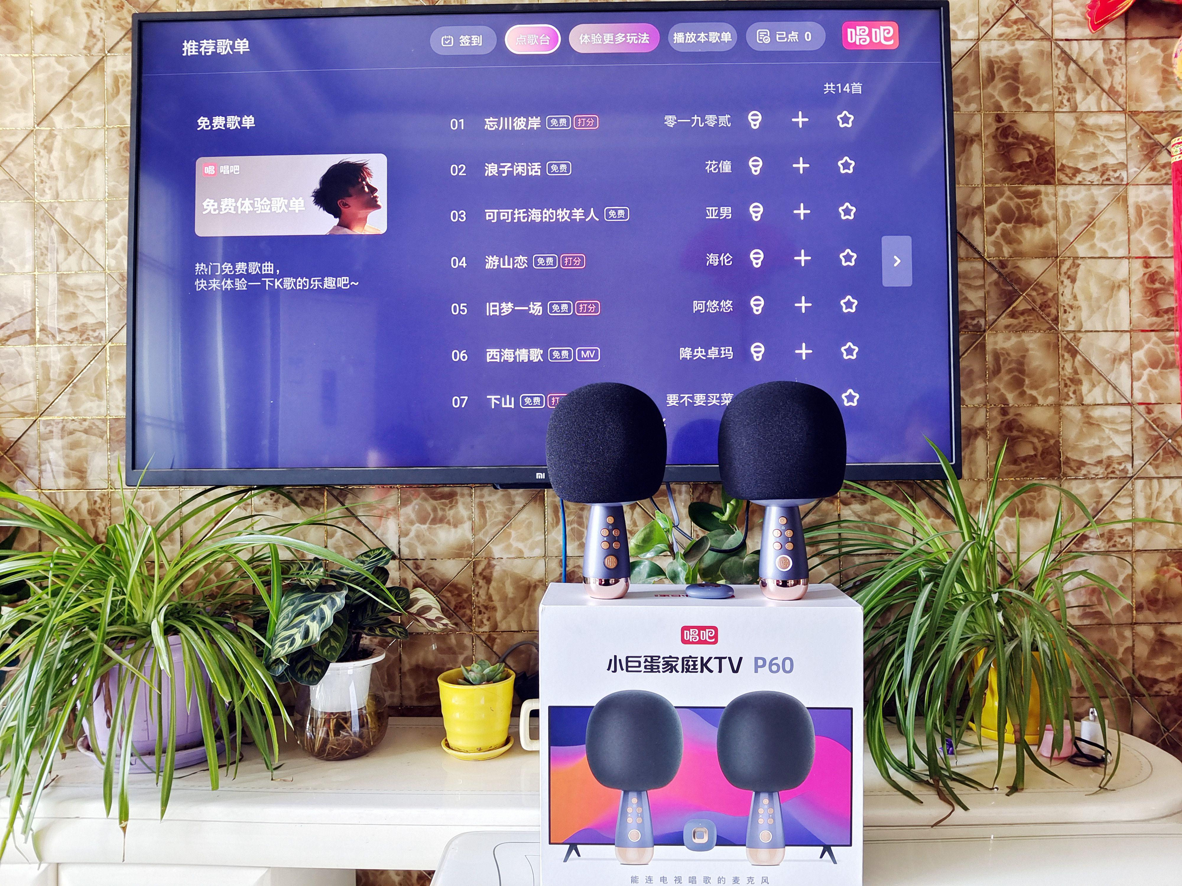 k歌麦克风大屏版,唱吧家庭ktv麦克风p60