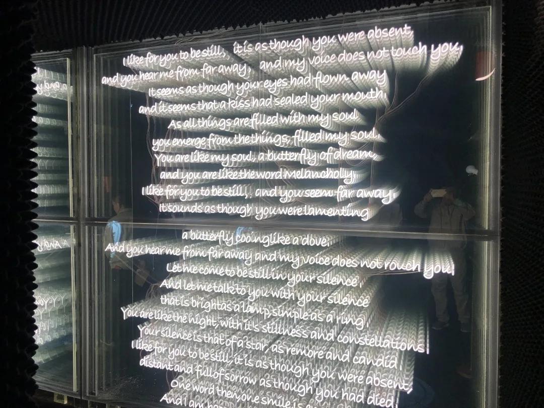 晚餐时间到！餐厅运营、清洁、设计和设计，一站式搞定