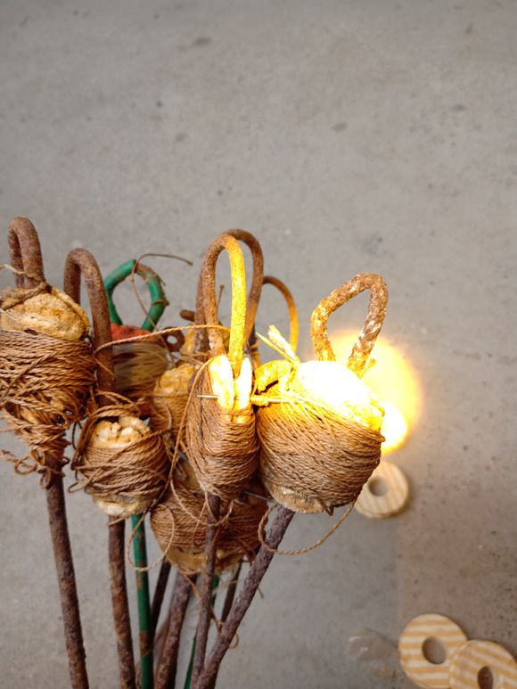 最简单最有效的钓甲鱼方法,甲鱼的正确钓法