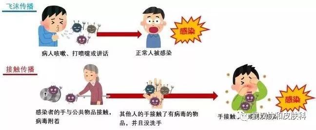 切断传播途径保护易感人群,切断传染源和保护易感人群