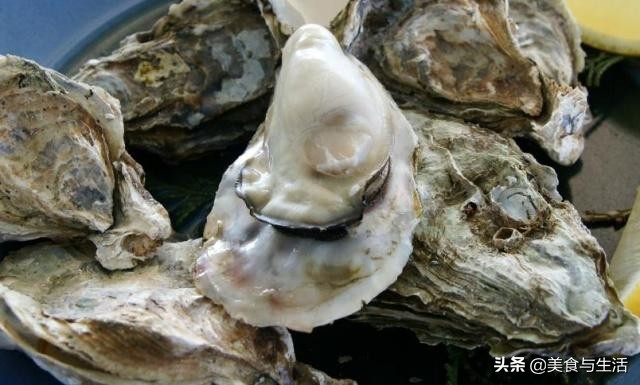 不带壳生蚝水煮几分钟最好吃,带壳生蚝最简单的方法是怎么吃