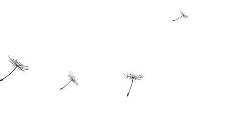 中小学校设计规范老版本,中小学校设计规范gb50099-2021