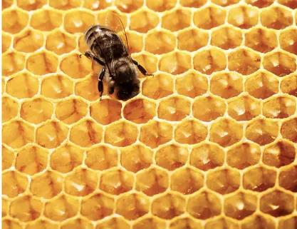 加拿大sephora8折必买清单,2019sephora打折季