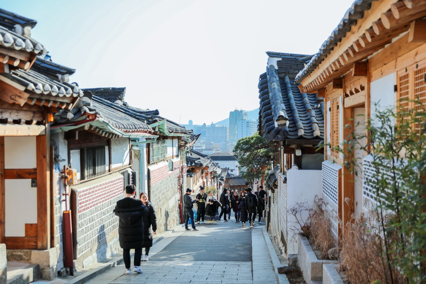 韩国冬天该有的样子,韩国第一次过冬天