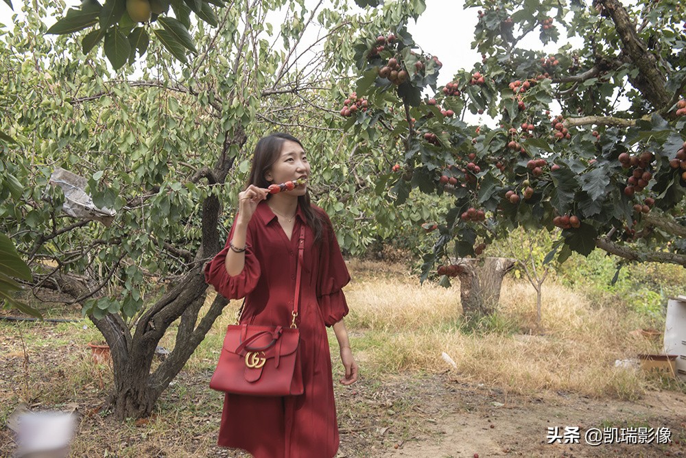 青岛的鹤山风景区好玩吗,青岛鹤山旅游景点大全