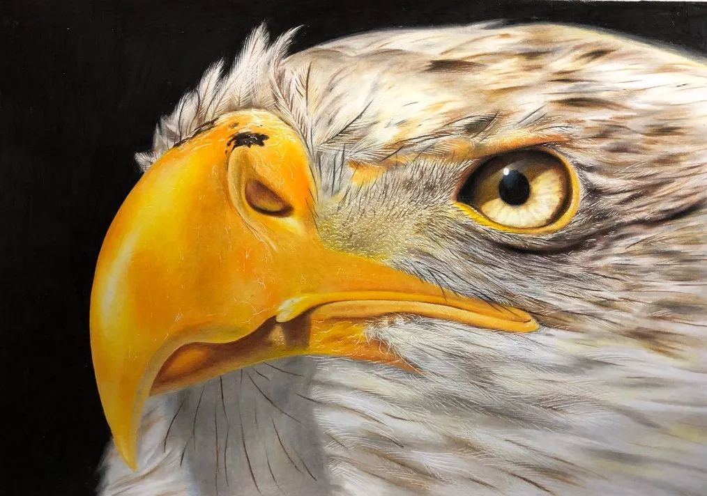 失明女孩铅笔画,保护视力守护心灵素描画