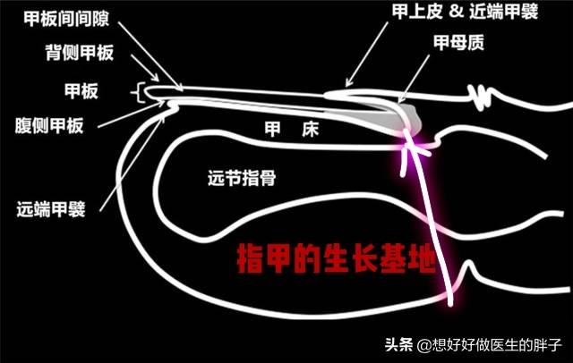 夏季女神美甲,夏季女神指甲