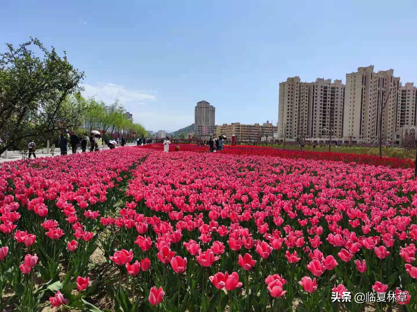 林草业务知识,林草局专业知识