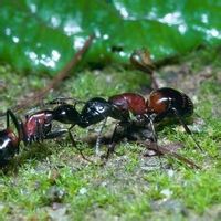 中国文化酒的别称，竟有285个，我又一次孤陋寡闻了