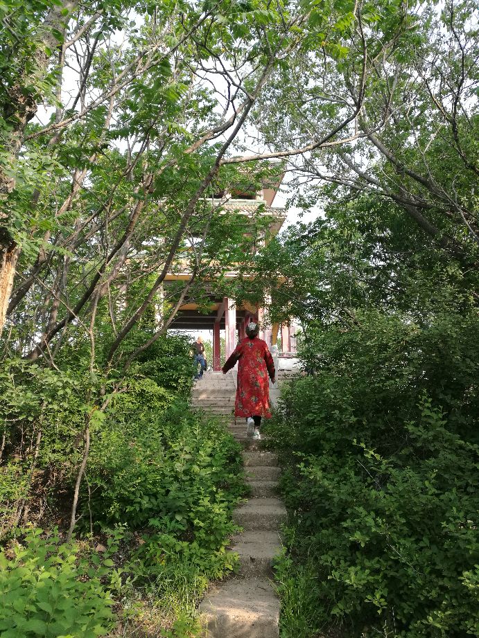 漫山花如雪，风吹暗香来