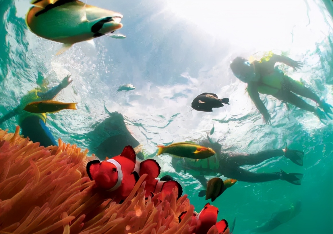 等疫情过后去日本旅行,疫情结束我们一起去旅游吧