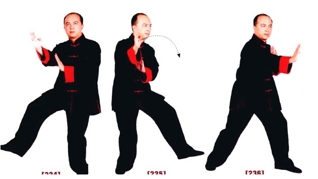 咏春拳标指教学视频,咏春拳低膀手法