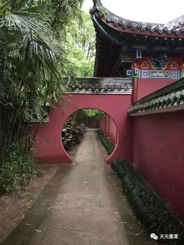 鹰潭和龙虎山道教,鹰潭龙虎山道教发源地