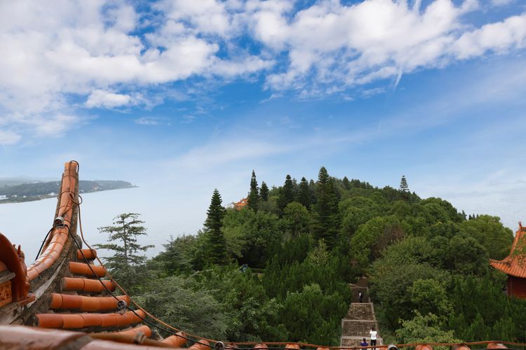 抚仙湖里的小岛,澄江抚仙湖孤山小岛怎么去