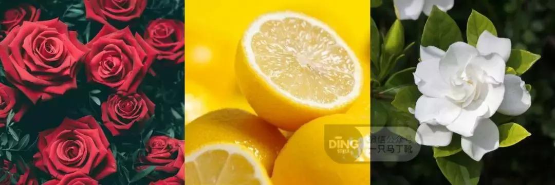 香水搭配的基本知识,香水潮流搭配