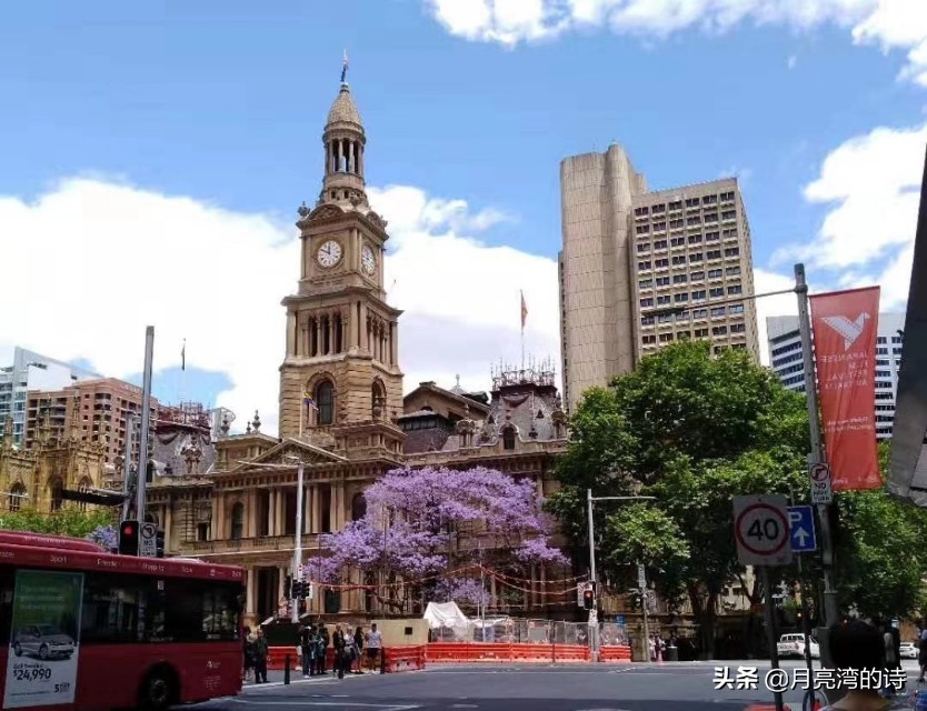 蓝花楹最是一抹蓝紫惹人醉,宁静的蓝花楹