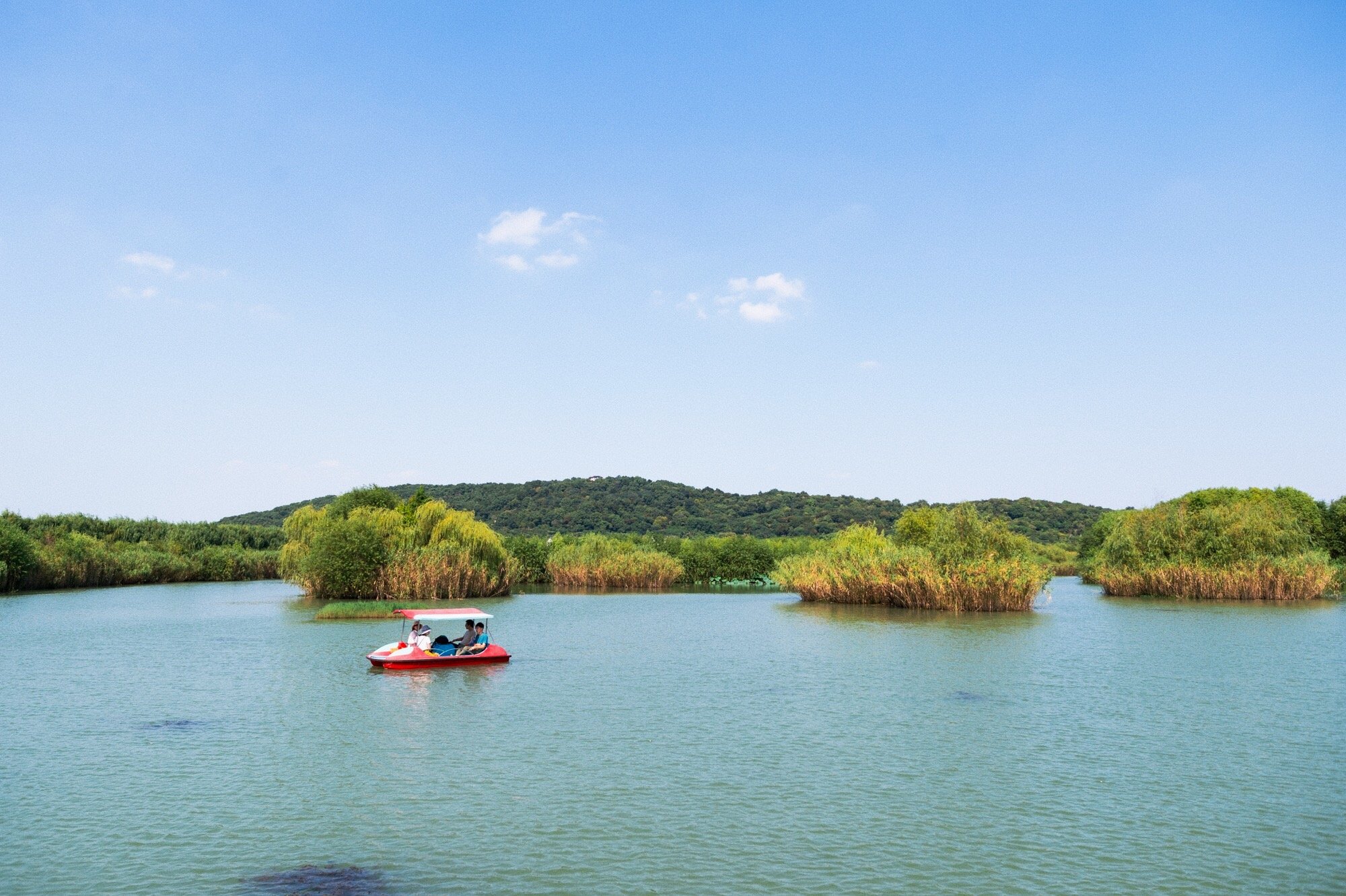 太湖不止有无锡鼋头渚，还有一座被誉为“小蓬莱”的岛，就在苏州
