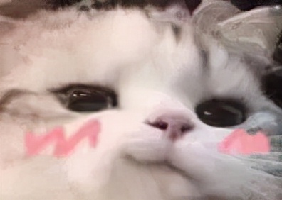 气垫推荐油皮可当底妆,快速出门底妆产品推荐