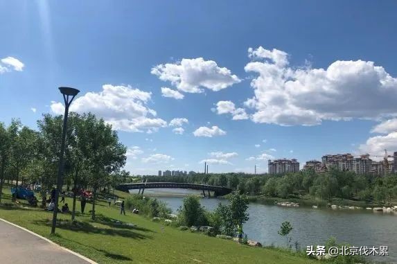 芒种旅游景点推荐,芒种至仲夏节气