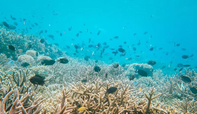 印尼巴厘岛有什么值得去的地方,印尼海岛巴厘岛