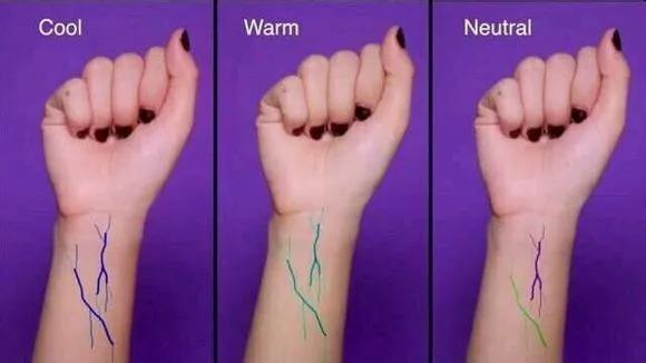 8小时实测11瓶网红粉底液，干皮、油皮、痘痘肌照着买就对了！