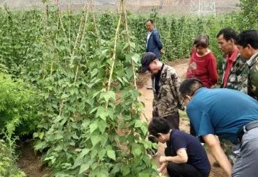 延川冯长江,冯长江致富经原文