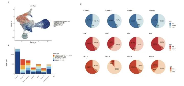 脑科学日报：“老年痴呆”要改名了？青年型痴呆的发病率超乎想象