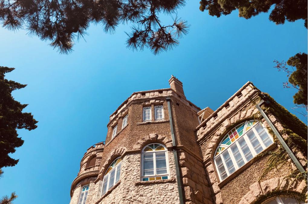 海滨老城泡桐花 (海滨老城紫色泡桐花)