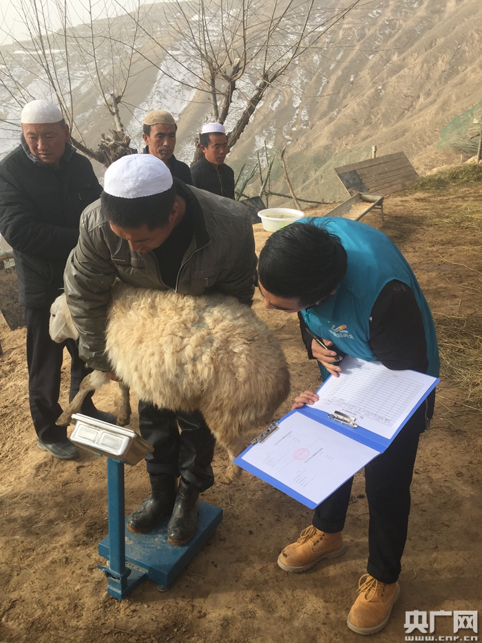 碧桂园精准扶贫基地,碧桂园乡村振兴大赛