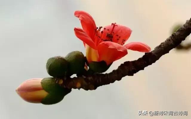 颠覆认知的古诗,颠覆认知脑洞大开的语句