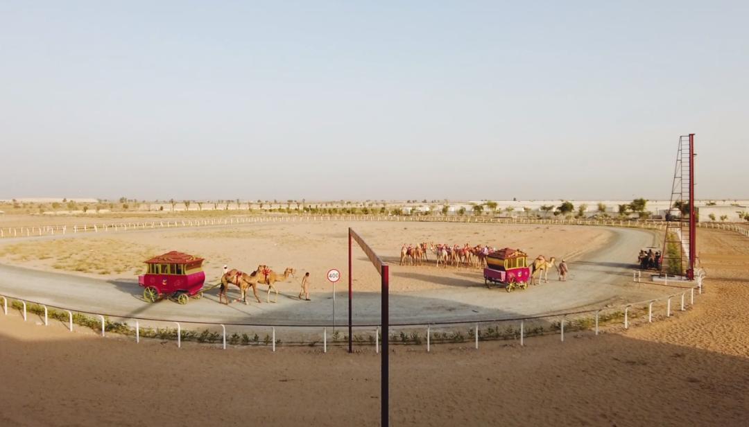 鎴戝湪杩嫓鍘熺増瑙嗛,杩嫓鐨勮禌楠嗛┘