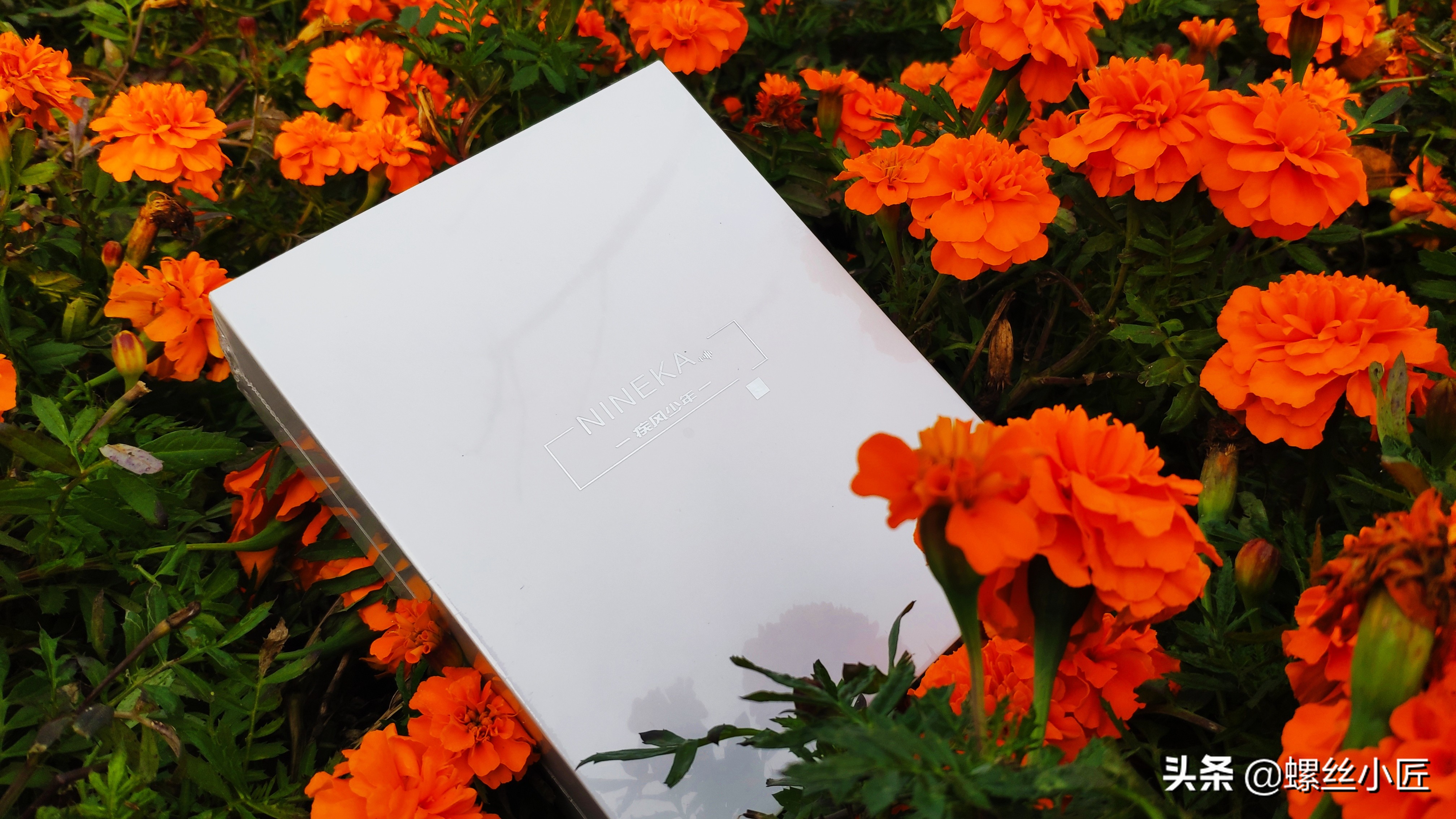 earsopen逸鸥真无线骨传导耳机,dacombonebuds骨传导耳机