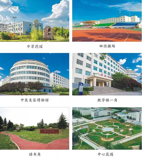 至美海棠最美好的年华遇见你