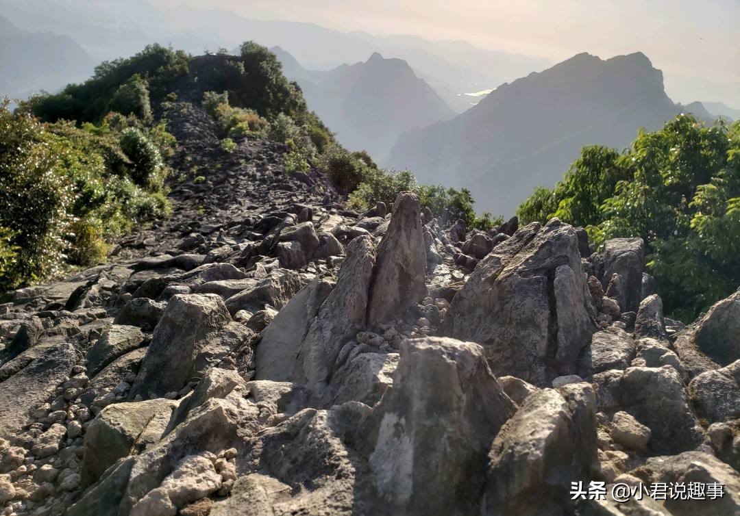 温州,除了钱和炒房团一无所有?进来认识不一样的温州