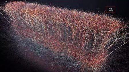 梦境究竟是什么样的存在,梦境到底是真实的还是虚幻的