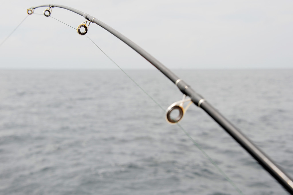 刚学钓鱼鱼竿选几米,开始学钓鱼原因