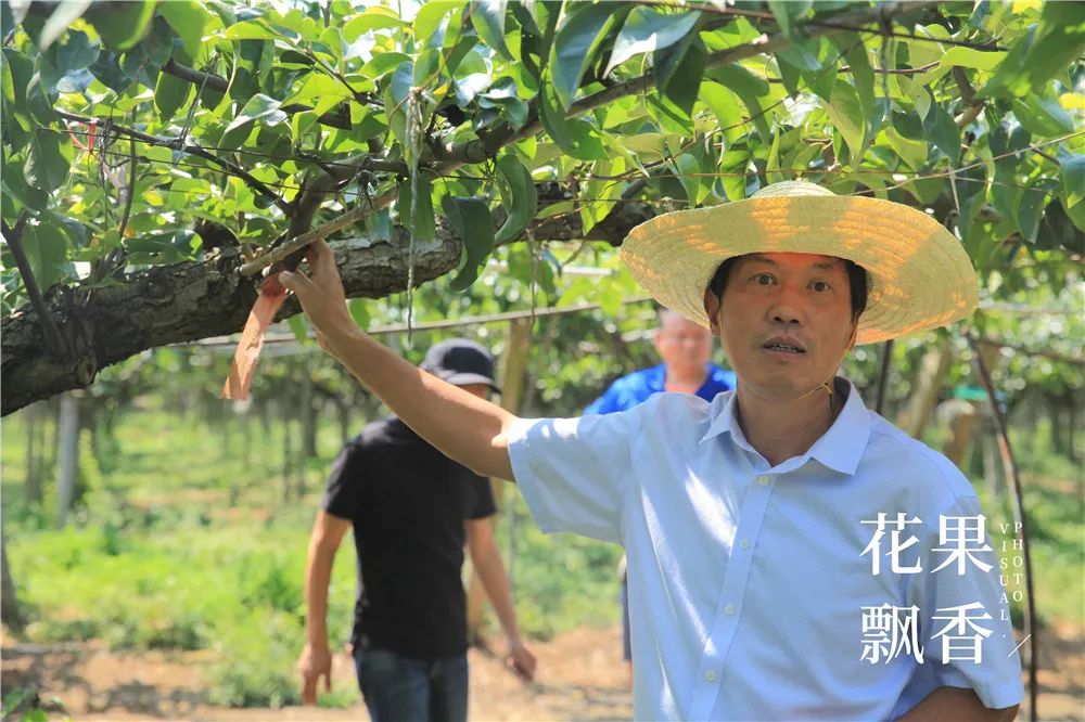 农业十个投资九个坑,农业有很多坑