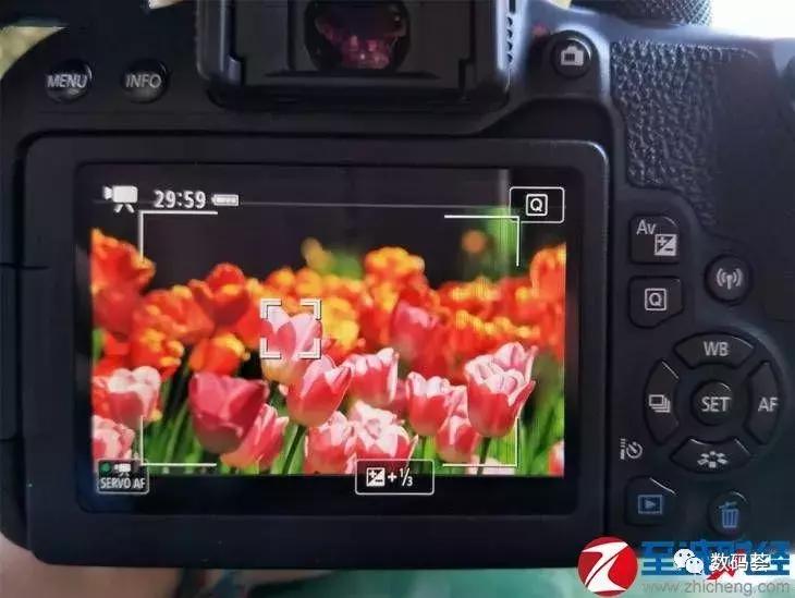 佳能入门级单反eos800d怎么样,佳能800d与尼康800d哪个好