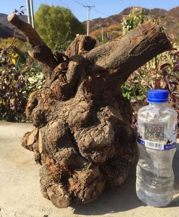 十几块的文玩盘起来竟然也很好看,最适合穷人盘的文玩