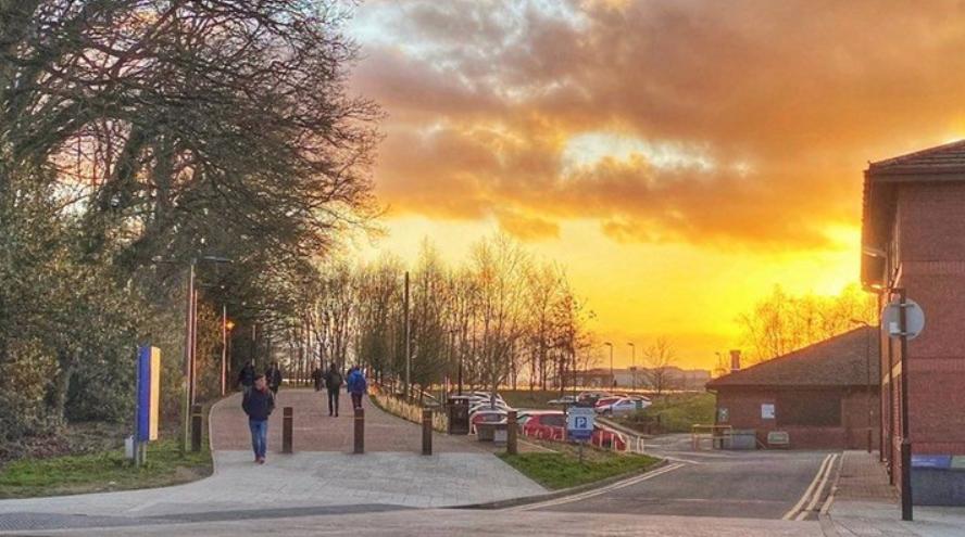 instagram最受欢迎标签,instagram最受欢迎的十大网红